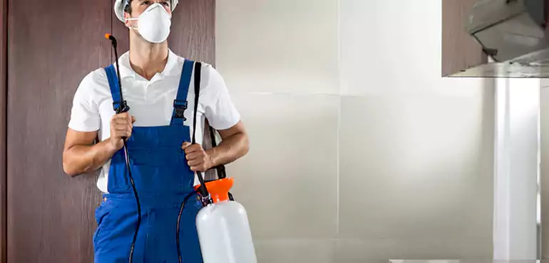 Why McAllen Homeowners Choose Us When Pests Make Selling Difficult